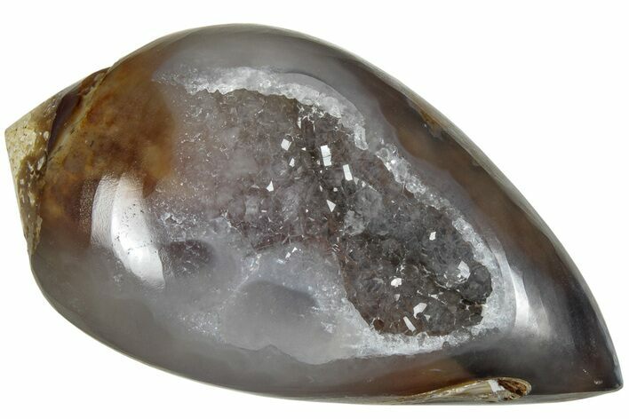 Chalcedony Replaced Gastropod With Sparkly Quartz - India #239298